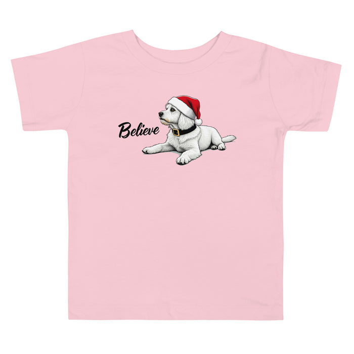 Believe Toddler Tee