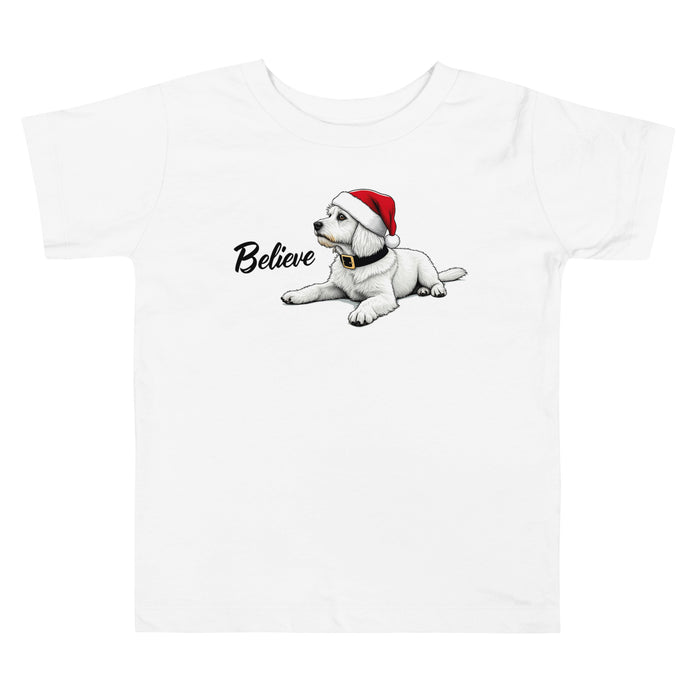 Believe Toddler Tee