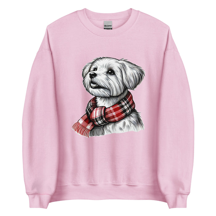 Scarf Sweatshirt