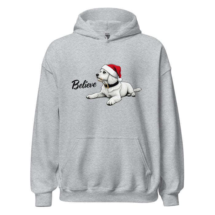 Believe Hoodie