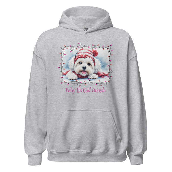 Baby It's Cold Hoodie