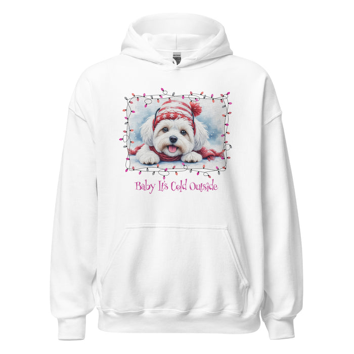 Baby It's Cold Hoodie