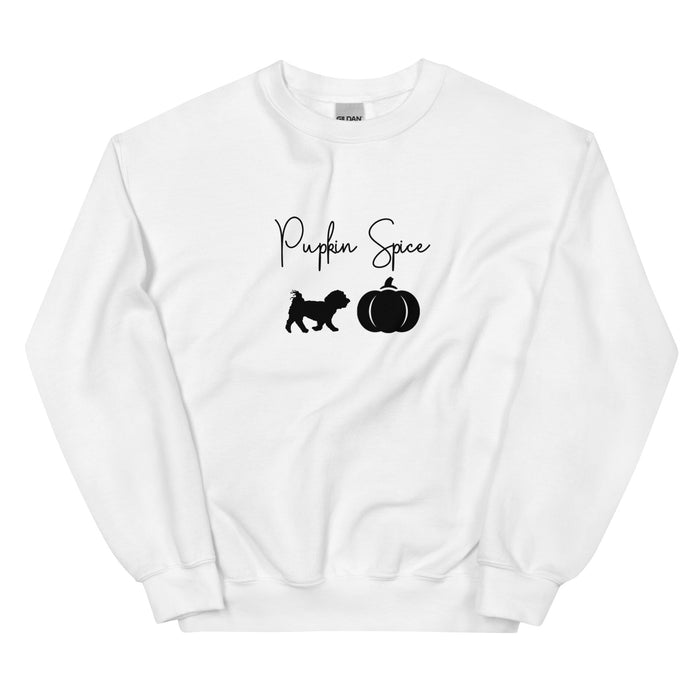 "Pupkin" Spice Sweatshirt