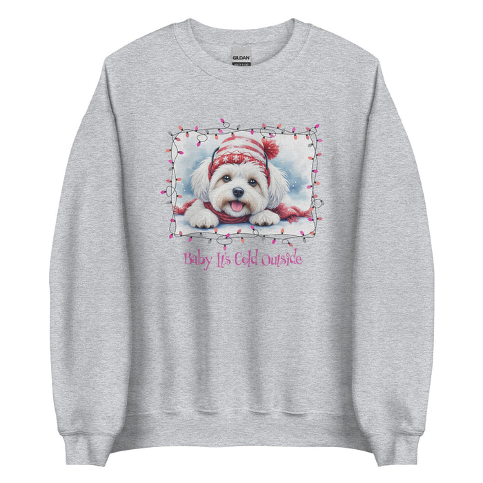 Baby It's Cold Sweatshirt