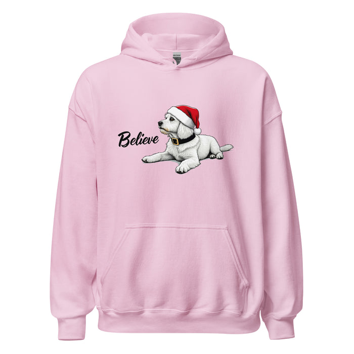 Believe Hoodie