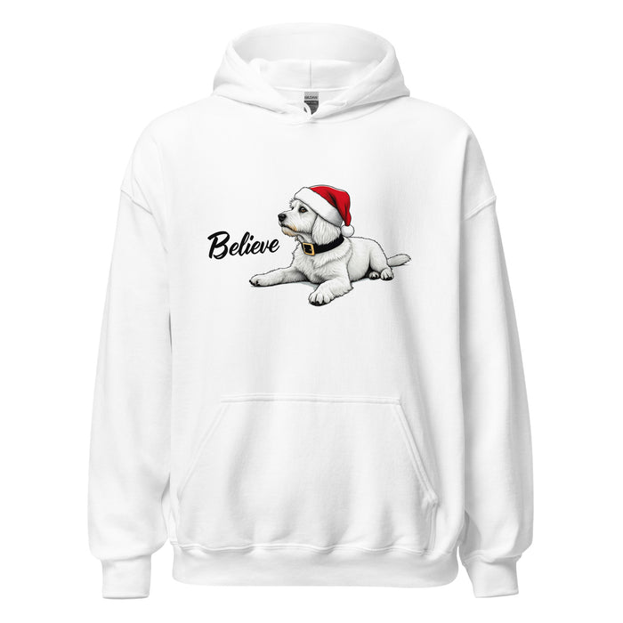 Believe Hoodie