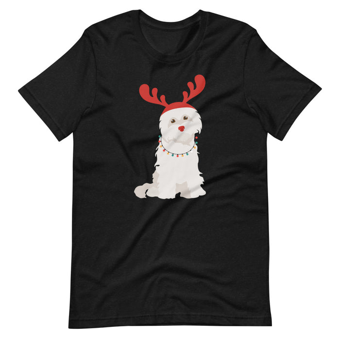 "Rudolph the Red Nosed Maltese" Tee
