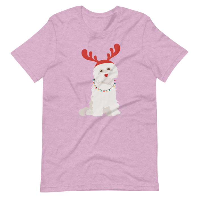 "Rudolph the Red Nosed Maltese" Tee